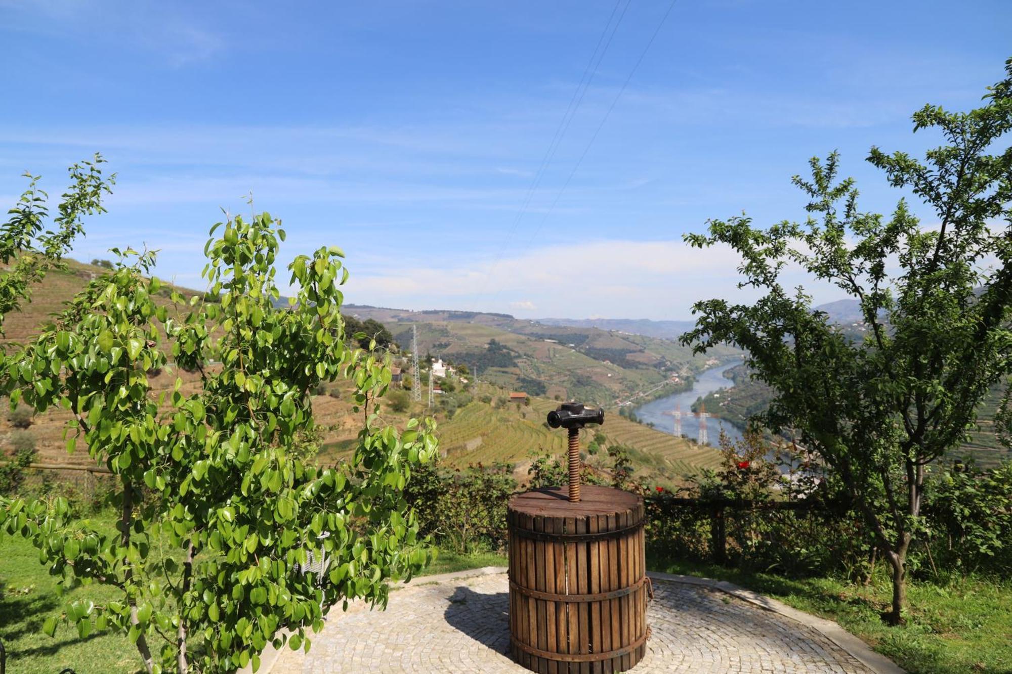 Casa Vale Do Douro Panzió Mesão Frio Kültér fotó