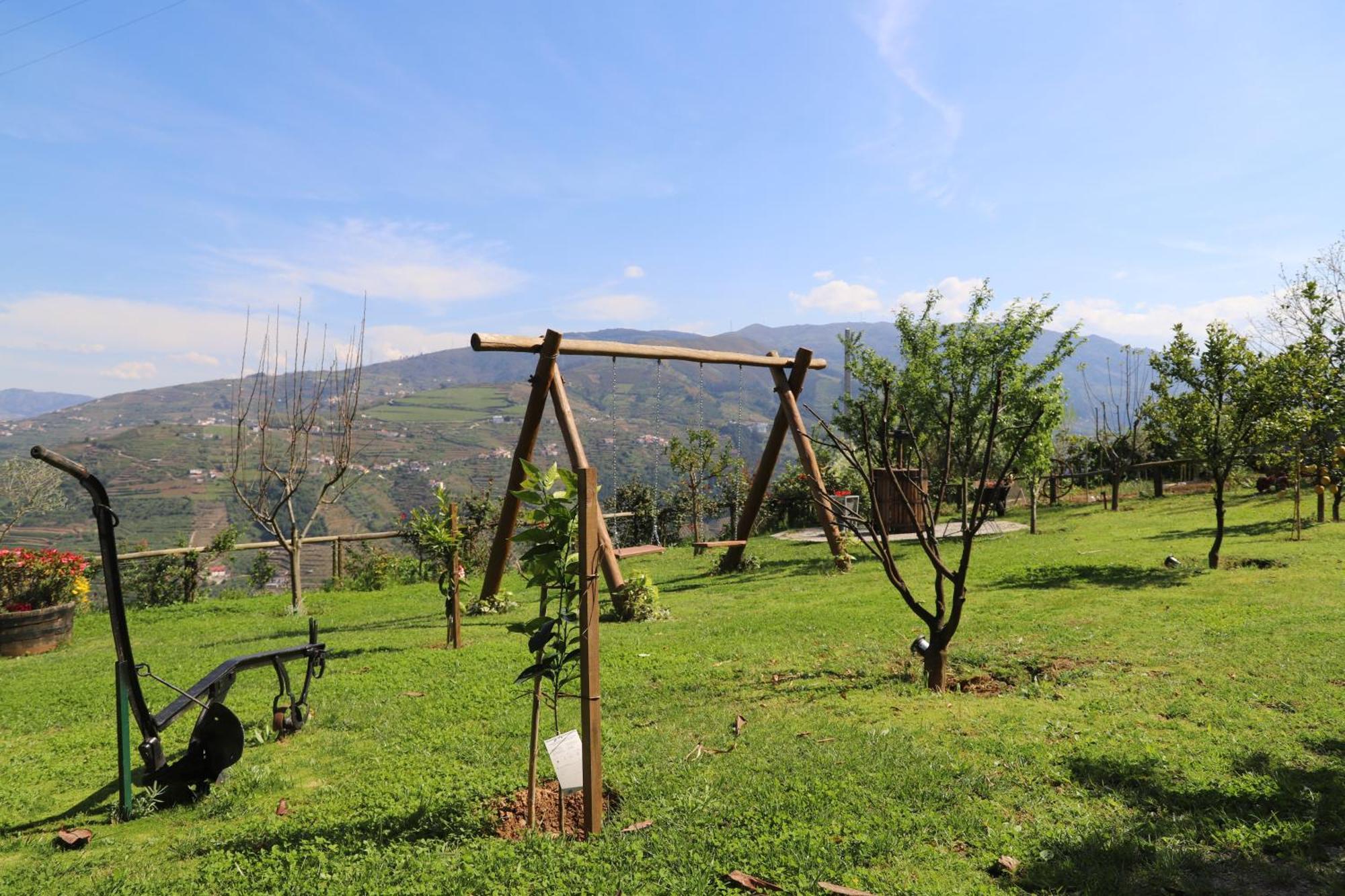 Casa Vale Do Douro Panzió Mesão Frio Kültér fotó