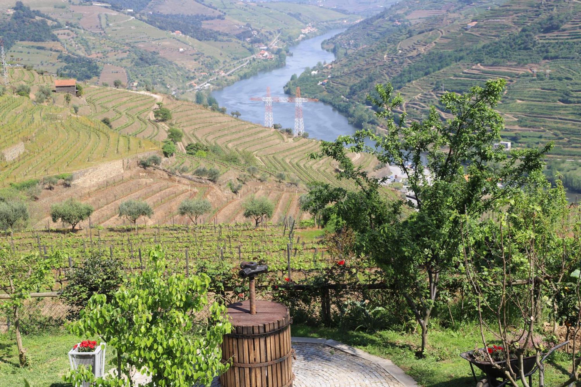 Casa Vale Do Douro Panzió Mesão Frio Kültér fotó